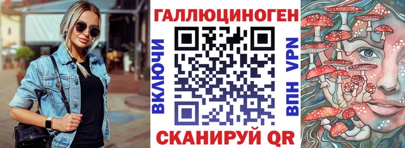 гидра ссылка  Жигулёвск  Псилоцибиновые грибы Psilocybine cubensis 